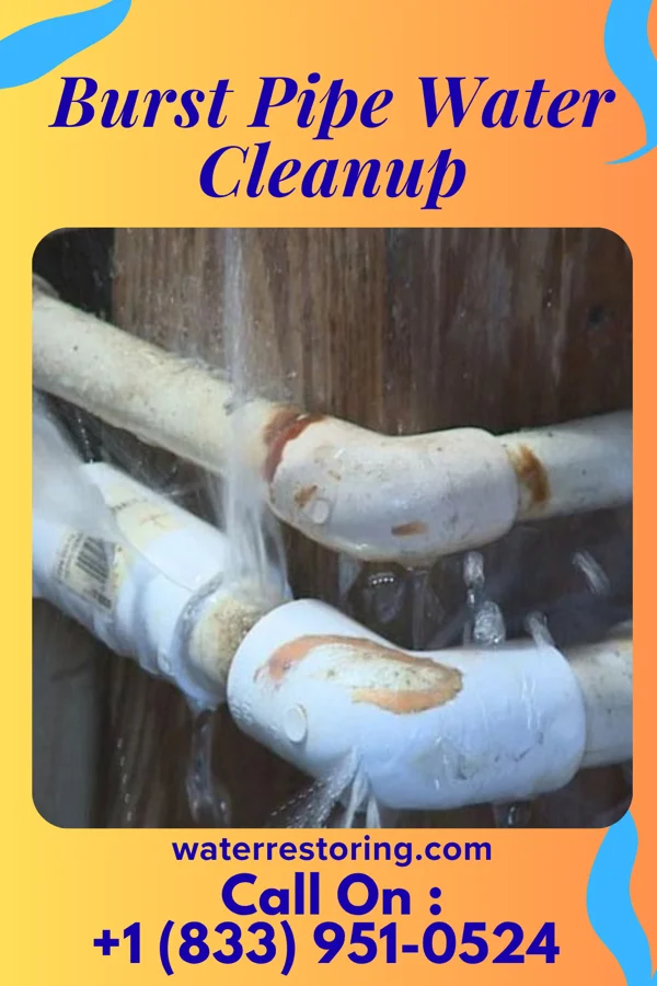 Burst Pipe Water Cleanup in Childress, TX