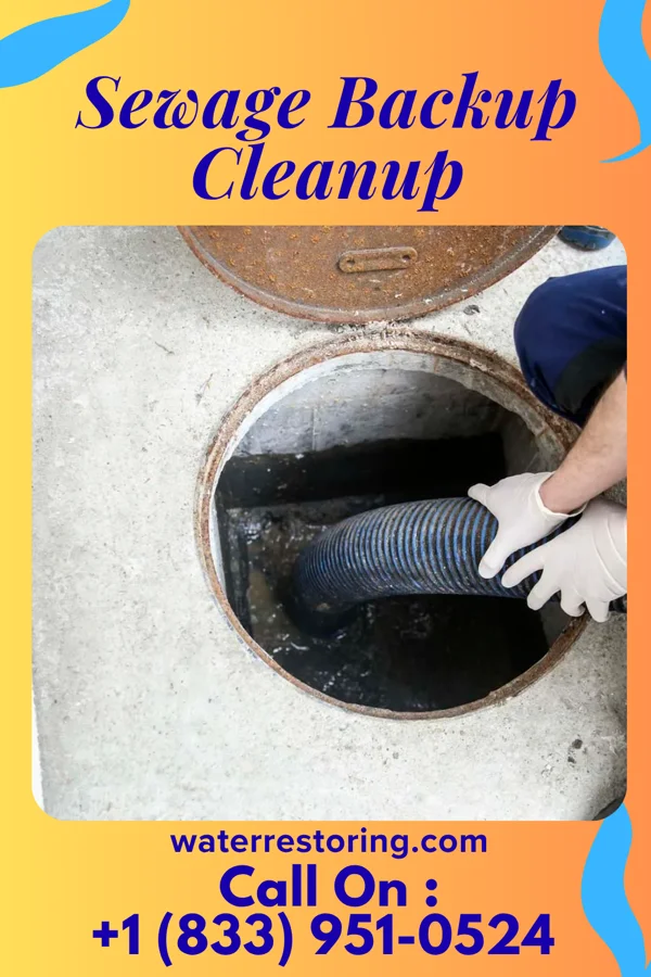 Sewage Backup Cleanup in Childress, TX