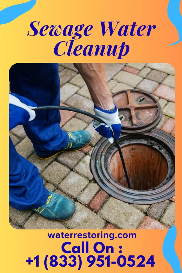 Sewage Water Cleanup in Childress, TX