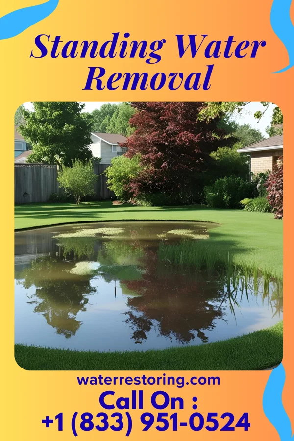 Standing Water Removal in Childress, TX